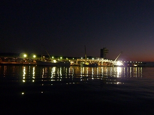 マグロ水揚げ基地として有名な宮城県塩釜港。夜明け前の早朝から、マグロのセリが行われていた。
