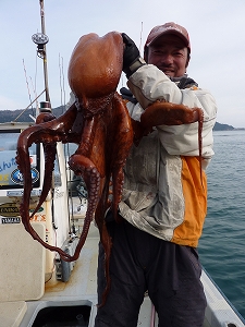 渡波港の幸丸・内海船長がSWC-722EXHブラインドサイトのテキサスリグで釣り上げた5キロのミズダコ。