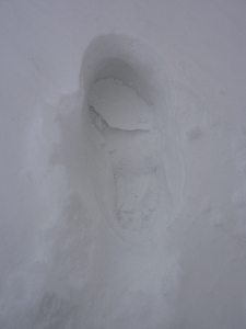 一歩踏み出すたびに、雪にはまります……。