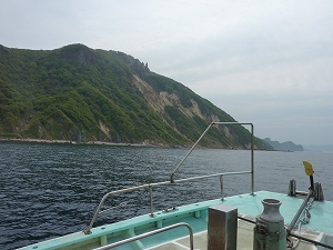 クロソイの豊富な小樽の海は山が海岸までそのまま迫る地形が続く。