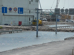 水中に沈む道路にガードレール。かつての車道は地盤沈下で今や水の下に。