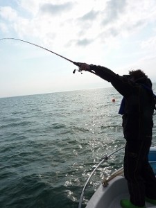 久々のカレイ釣り。夢中になって真剣に釣ります。