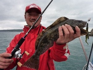 幸丸・内海船長アイナメ