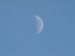 WHITE MOON IN THE BLUE SKY