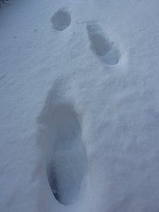 大雪につき、足元にはくれぐれもお気をつけ下さいね。