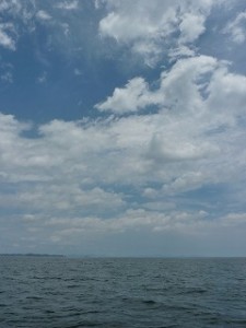 夏の海と化した仙台湾。今が狙い目です。