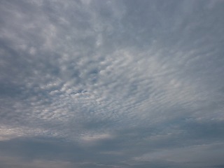 秋空にイワシ雲が泳ぐ。