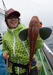 撃投ジグハイパー200gをホウボウが襲います。