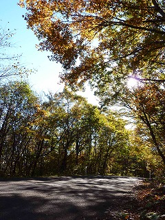 東北地方の紅葉は今が見ごろの季節ですね。