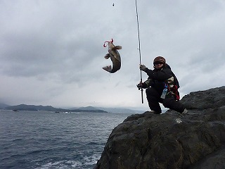 ロングスピン釣方で遥か沖から魚を手繰り寄せる。