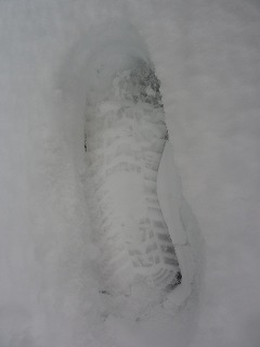 東北の雪道。踏みしめる一歩は重い。