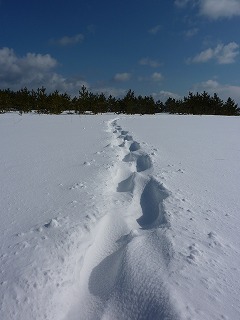 銀世界の冬の青森