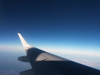 Fumi S Blog ロックフィッシュ地獄