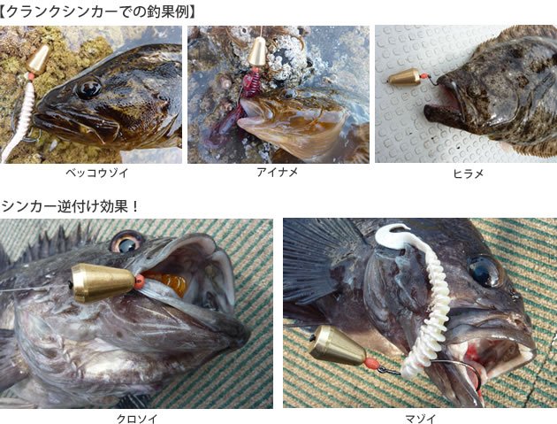 クランクシンカーでの釣果とシンカー逆付け効果の紹介