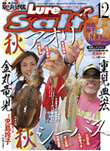 Lure magazine salt 2011年12月号