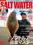 SALT WATER 2015年1月号