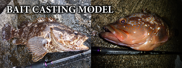 BAIT CASTING MODEL