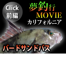 BS日テレ「夢釣行～一魚一会の旅～」カルフォルニア前編